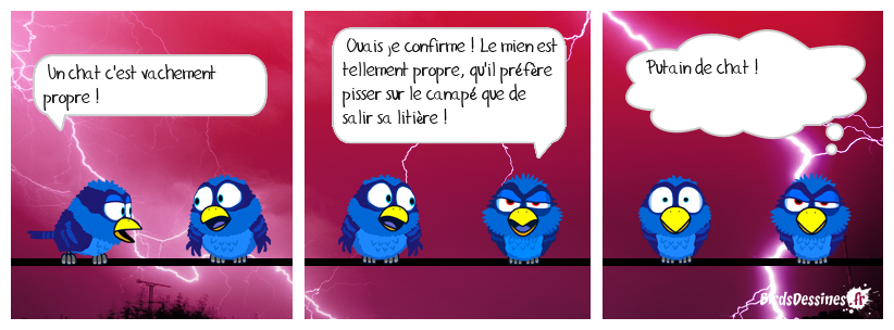 ☺ Putain de chat ☺☺