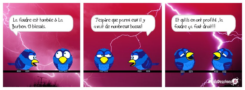 UN APRES MIDI D'ORAGE AU ZOO;