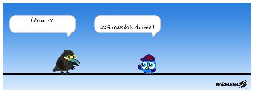 Le fabuleux destin de Titoune