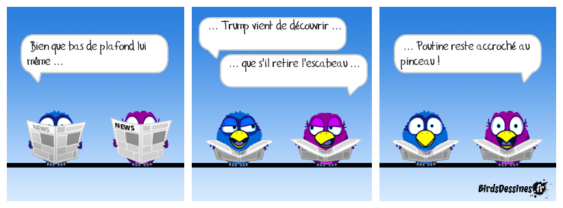 C'est l'histoire d'un fou ... ou plutôt d'un duo de fous !