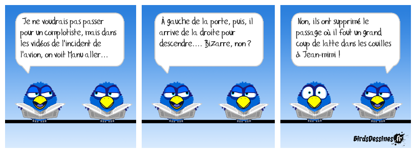 Des chamailleries, quoi !