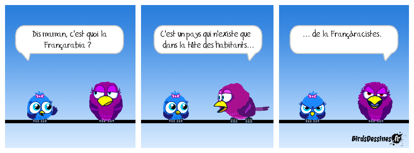 Le racisme n'est pas une opinion, c'est un délit 5