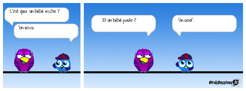 Petite connerie omelette.