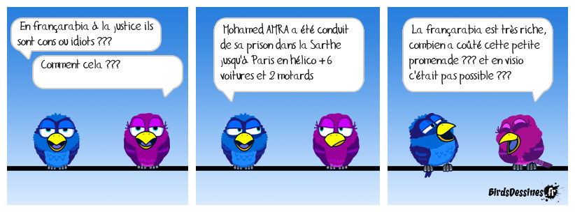 Bienvenue en françarabia 12