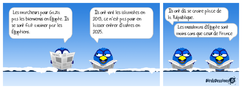 On n'entre pas dans tous les pays comme dans un moulin.