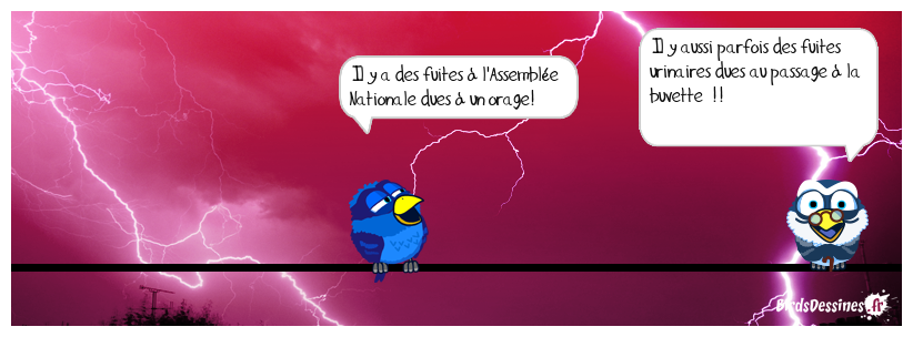 Le vieillissement favorise les fuites urinaires