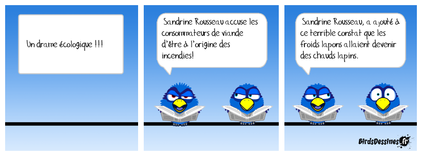 Un drame écologique.!