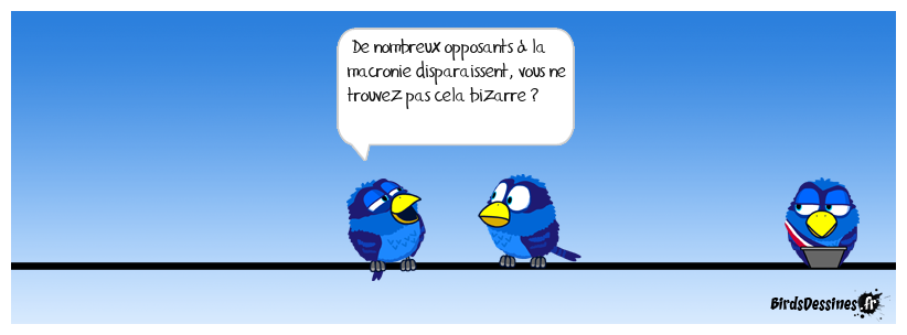 « Je ne supporte plus la macronie »