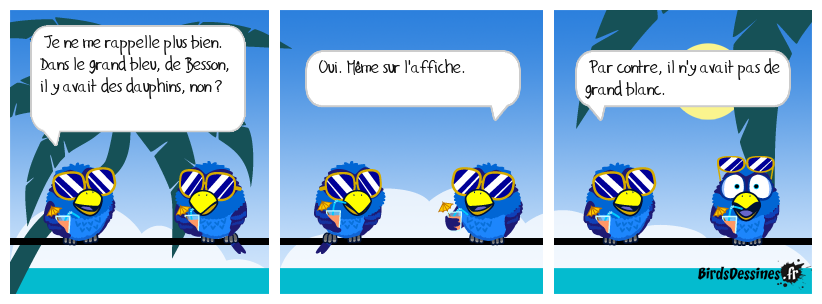 carcharodon carcharias