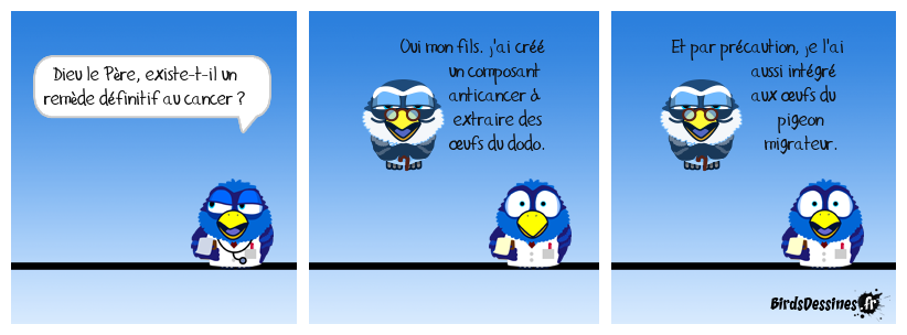 Dieu a bien fait les choses