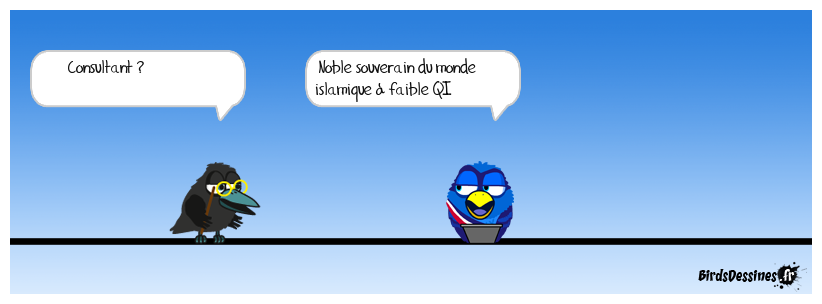 Définition Titounesque