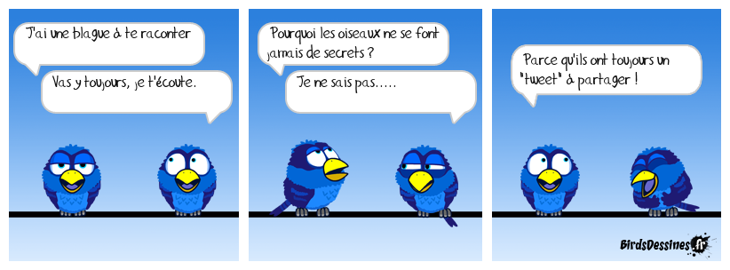 blabla d'oiseau