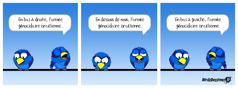 Visitons la bande de Gaza