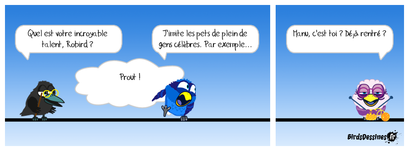 Les Birds ont un incroyable talent