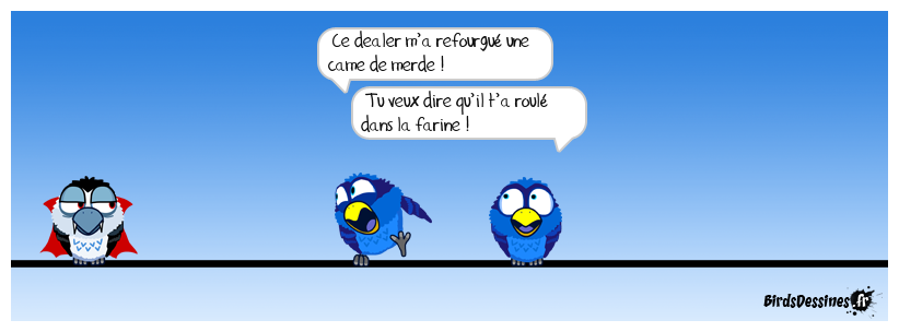 Ça m’a coûté un blé fou !