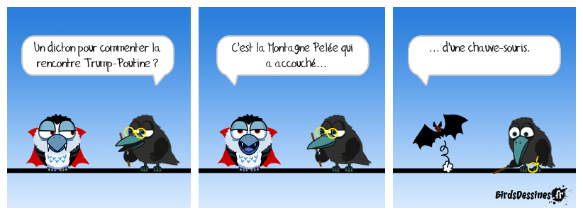 Dicton capillotracté