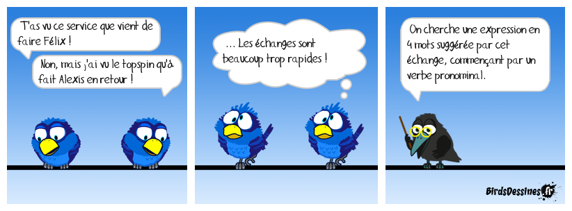 Verbidouillage n° 690 (expression française n° 399)