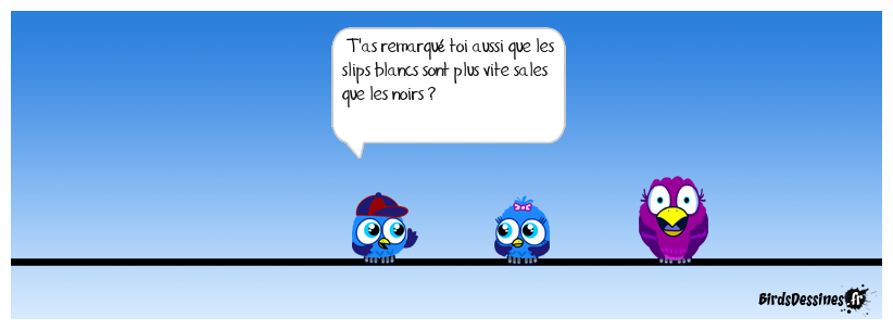 Conclusion ? On économise l’eau et la lessive !