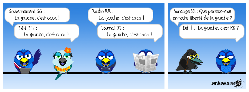 C.Q.F.D. (Ceux Qu'il Fallait Désinformer)