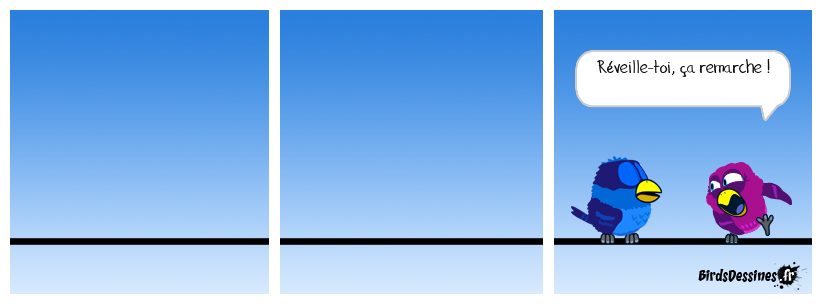 Le site des Birds Dessinés est réparé