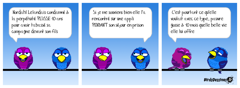 Merci aux juges françarabiens