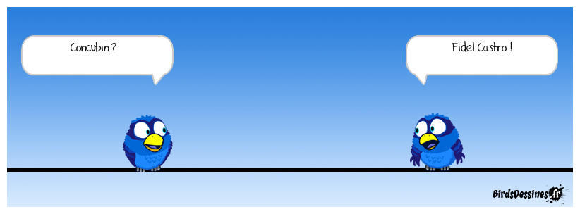 2001, l'odyssée de Titoune