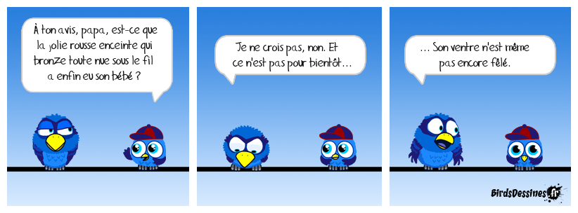 Un expert comme à la télé