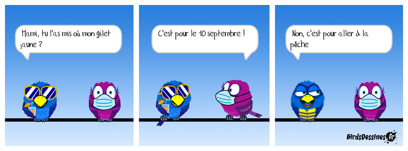 Le boomer gilet jaune