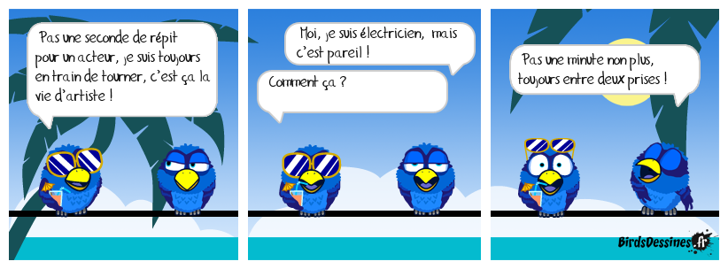 C’est kif kif-kif pareil !