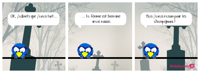 À tort et à raison