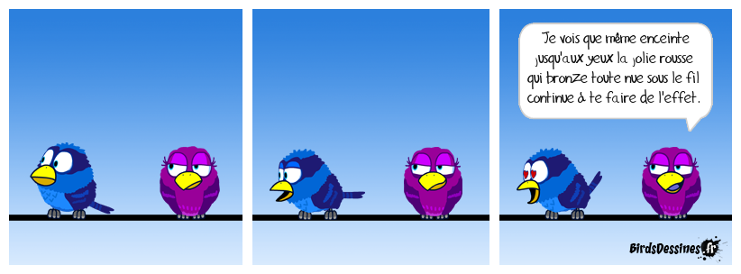 Histoire par la bande