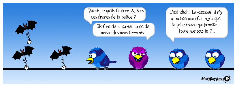 Et ils filment, en plus ! Big browser