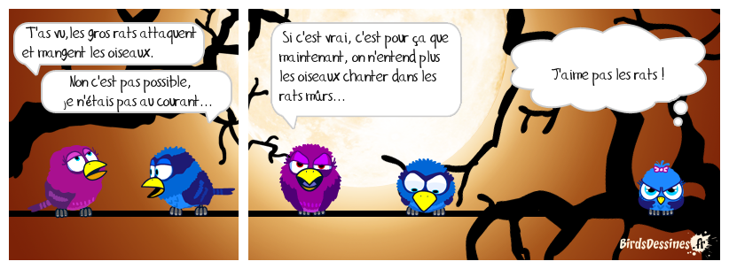 Attention il va se rat, diner !