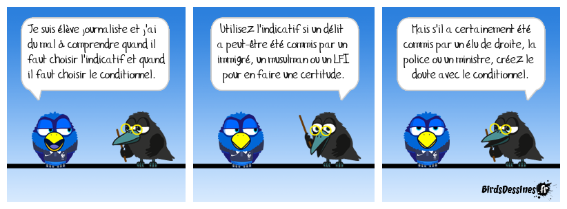 Grammaire professionnelle