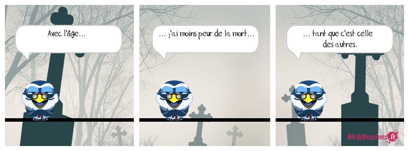 Sans commentaire. Philosophie de cimetière