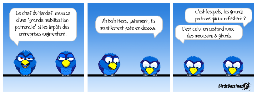 Je me rappelle une manif de riches à Paris, où une bourgeoise en manteau de fourrure m'a demandé comment on fait pour manifester. (Moi, j'étais dans l'autre manif, celle des gens qui ne sont rien aux yeux de ceux qui pensent être tout). Il n'y a pas qu'un âne qui s'appelle Martin