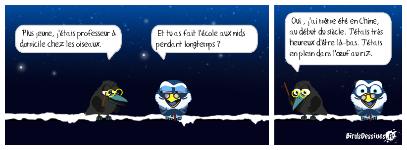 un enseignement débridé