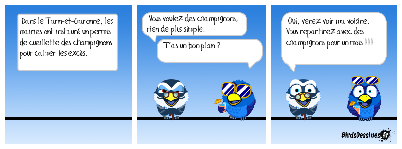 Avis aux mycologues amateurs !