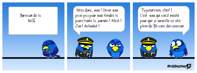 Au nom de tous les birds : désolé pour l'engueulade