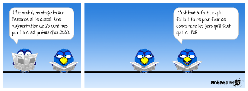 Une balle dans le pied