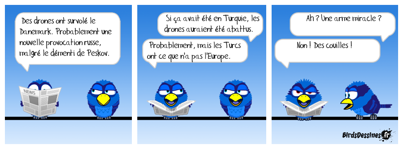 Qu'est-ce qu'on fait ? On s'dérange ou on méprise ?