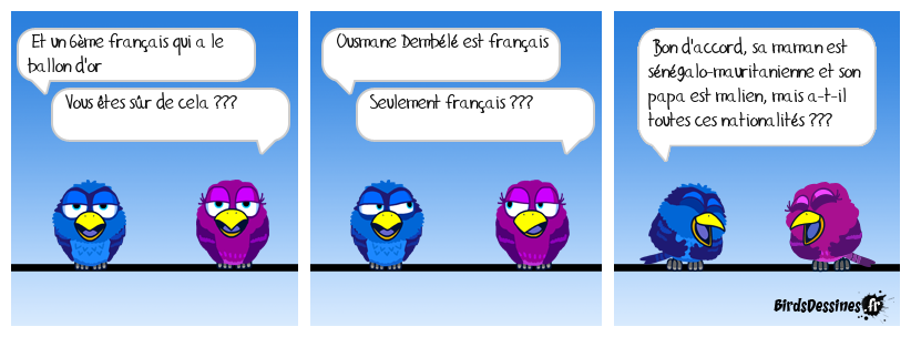 La ballon d'or 2025 est attribué à un franco-sénégalais-malien-mauritanien ...