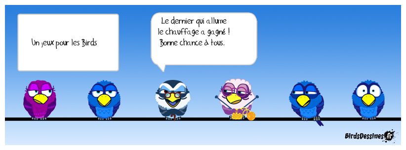 Un jeux pour les Birds
