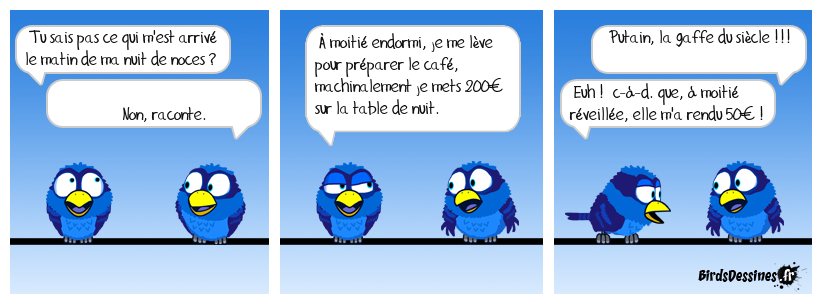 Réédition d'une de mes BD "anciens birds" 26/11/2012 @ 15:58:22 Lune de miel ?