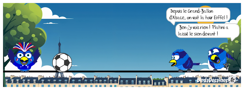 Pas bête, le Platini, il n'a pas mis un de ses 3 ballons d'or !