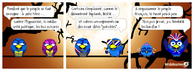 C'est dur d'aimer un pays de cons