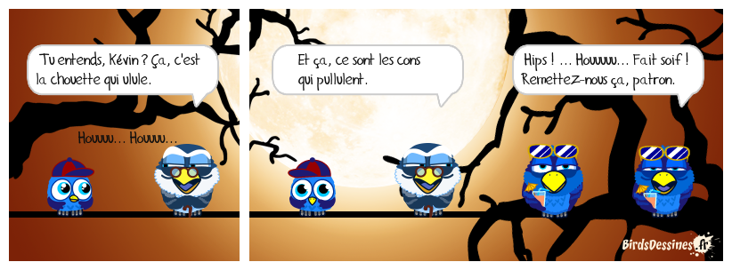 Leçon d'ornithologie