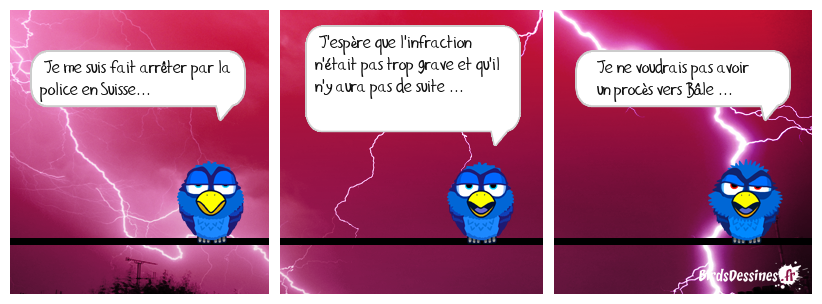 la police suisse est mal helvète...