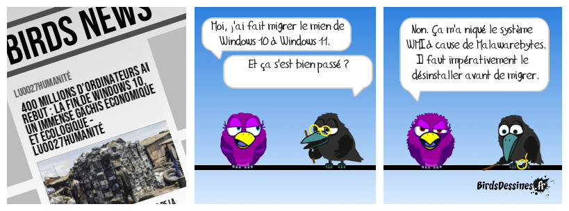 Malawarebytes ajoute un appel à Elam dans le boot. Avant de migrer de W10 à W11, il est prudent de désinstaller l'anti-spyware avec le programme MB-support téléchargeable sur le site malaware (https://malwarebytes-support-tool.fr.uptodown.com/windows) pour une désinstallation complète qui vire bien Elam du boot. S'il y traîne encore alors que Malawarebytes est désinstallé, le PC ne peut pas démarrer. Le grand remplacement