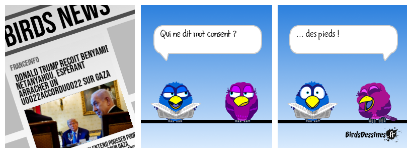 Demandez les Birds News !